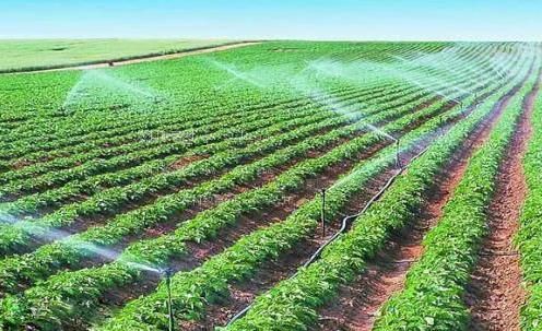 被爆肏H视频农田高 效节水灌溉
